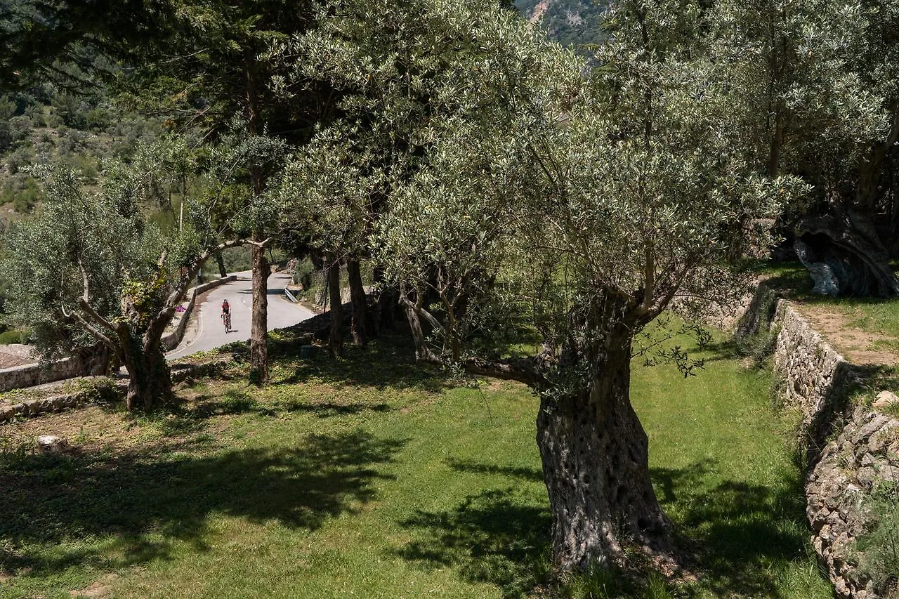 Alfabia Nou Agroturismo Bunyola Spain
